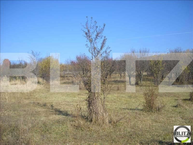 Teren de vânzare Dambul Rotund - 22602TV | BLITZ Cluj-Napoca | Poza6