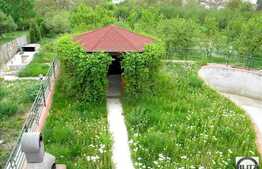 Vanzare teren intravilan cu 1000 mp, priveliste frumoasa