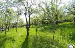 Teren ideal pentru constructie casa individuala P+E+M, 1000 mp suprafata totala