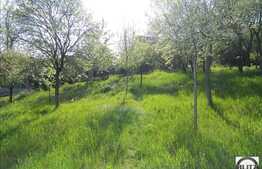 Teren ideal pentru constructie casa individuala P+E+M, 1000 mp suprafata totala