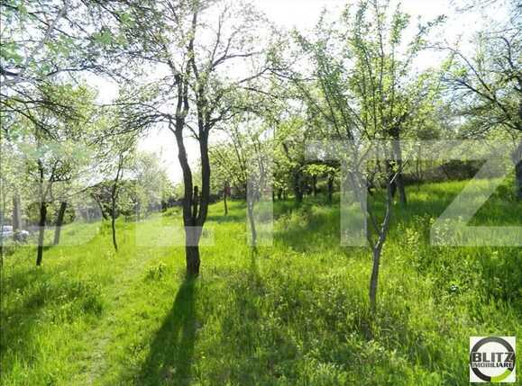 Teren de vânzare Dambul Rotund - 22608TV | BLITZ Cluj-Napoca | Poza1