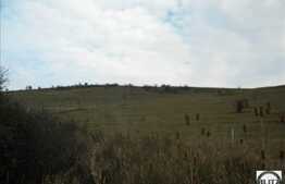 1500 mp cu front la strada asfaltata! Zona linistita pentru locuit.