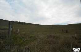 1500 mp cu front la strada asfaltata! Zona linistita pentru locuit.