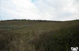 1500 mp cu front la strada asfaltata! Zona linistita pentru locuit.