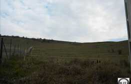 1500 mp cu front la strada asfaltata! Zona linistita pentru locuit.