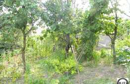 De vanzare teren 402 mp + constructie demolabila