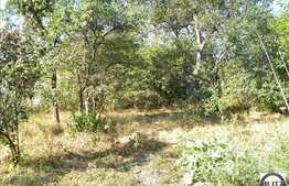 Teren de vanzare in zona Dedeman cu 770 mp utili!