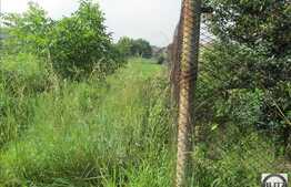 Vanzare teren 1190 mp, zona linistita