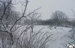 Vanzare teren in zona linistita, 2900 mp cu front de 40 ml