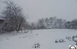 Vanzare teren in zona linistita, 2900 mp cu front de 40 ml