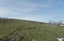 Teren de vanzare, 667 mp si front de 20 ml, ideal pentru constructia unei case!