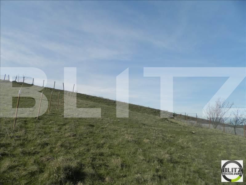 Teren de vânzare Dambul Rotund - 22627TV | BLITZ Cluj-Napoca | Poza7