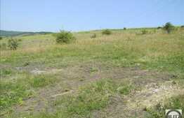 Vanzare teren 9619 mp, zona in continua dezvoltare! Utilitati la front!