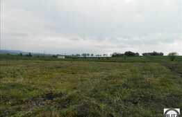 Vanzare 700 mp teren cu front de 53 ml, POT 35%, CUT 0.9