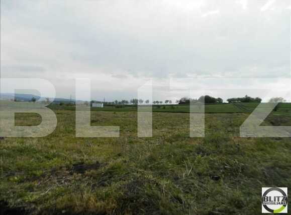 Teren de vânzare Dambul Rotund - 22633TV | BLITZ Cluj-Napoca | Poza7