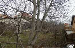 Teren de vanzare, 650 mp, front de 12 ml, zona Dambul Rotund!