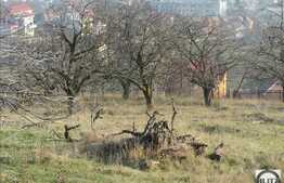 Teren de vanzare, 3400 mp, cu front de 60 ml, priveliste deosebita!