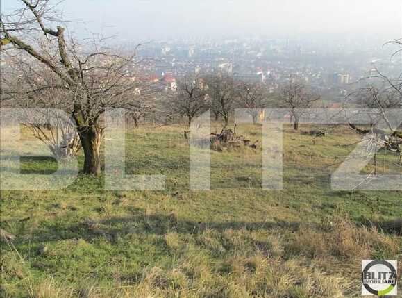 Teren de vânzare Dambul Rotund - 22639TV | BLITZ Cluj-Napoca | Poza4