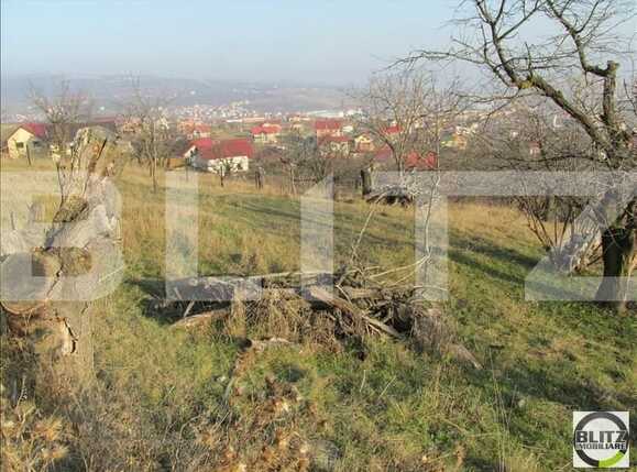 Teren de vânzare Dambul Rotund - 22639TV | BLITZ Cluj-Napoca | Poza5