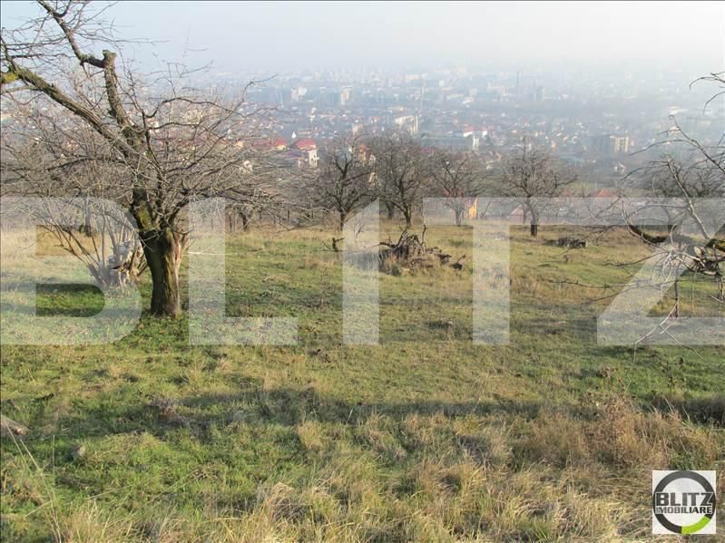 Teren de vânzare Dambul Rotund - 22639TV | BLITZ Cluj-Napoca | Poza4