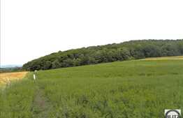 Teren 500 mp, apa si curent la front, Popesti Vale!