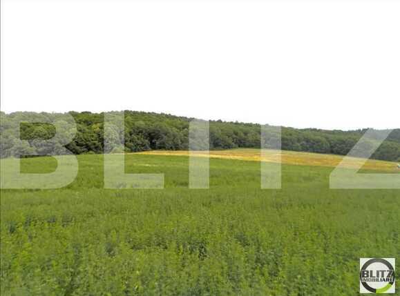 Teren de vânzare Dambul Rotund - 22642TV | BLITZ Cluj-Napoca | Poza10