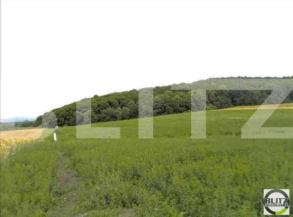 Teren de vânzare Dambul Rotund - 22642TV | BLITZ Cluj-Napoca | Poza2