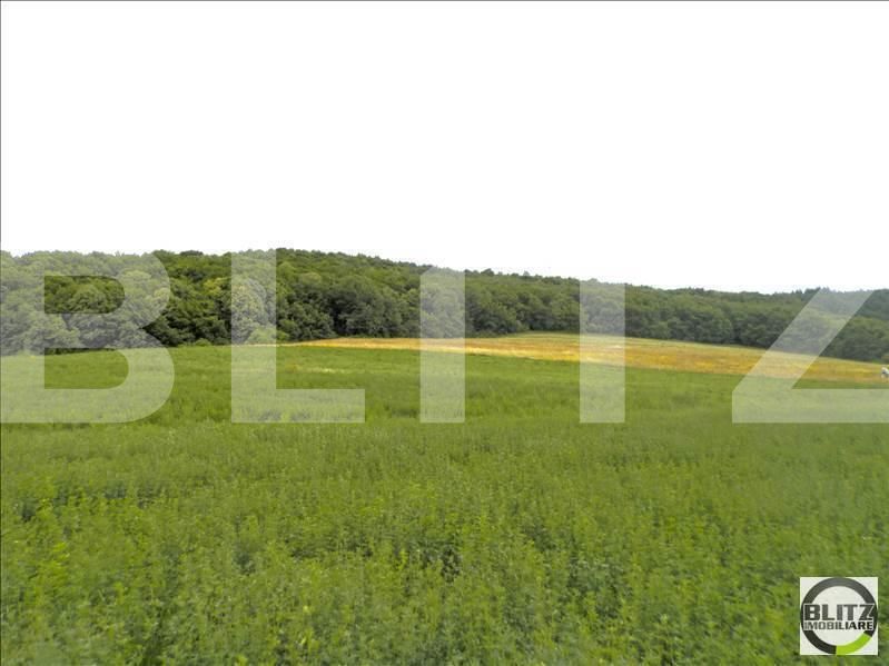 Teren de vânzare Dambul Rotund - 22642TV | BLITZ Cluj-Napoca | Poza10