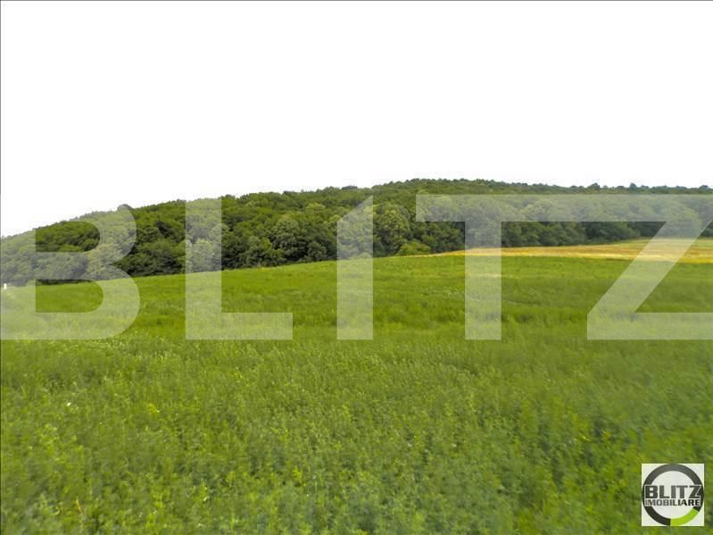 Teren de vânzare Dambul Rotund - 22642TV | BLITZ Cluj-Napoca | Poza5