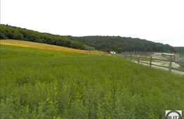 Teren 800 mp, front 28 ml, zona linstita de case! Popesti Vale!