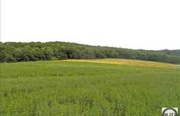 Teren 800 mp, front 28 ml, zona linstita de case! Popesti Vale!