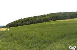 Teren 800 mp, front 28 ml, zona linstita de case! Popesti Vale!