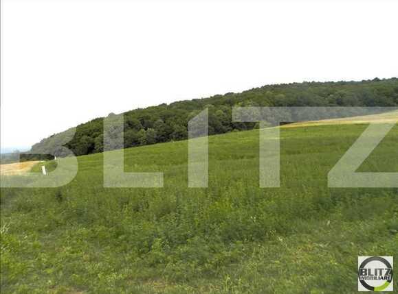 Teren de vânzare Dambul Rotund - 22643TV | BLITZ Cluj-Napoca | Poza1