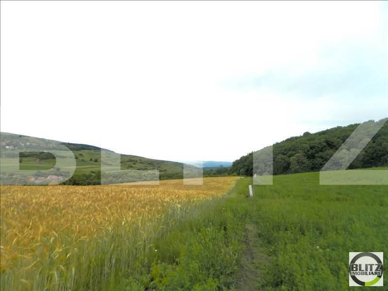 Teren de vânzare Dambul Rotund - 22643TV | BLITZ Cluj-Napoca | Poza5