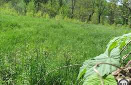 Teren 2014 mp, front 21 ml, posibilitate parcelare, PUZ 4 locuinte