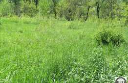 Teren 2014 mp, front 21 ml, posibilitate parcelare, PUZ 4 locuinte