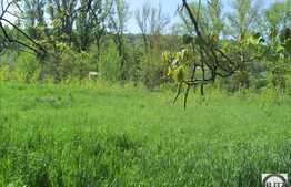 Teren 2014 mp, front 21 ml, posibilitate parcelare, PUZ 4 locuinte