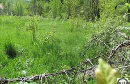 Teren 2014 mp, front 21 ml, posibilitate parcelare, PUZ 4 locuinte