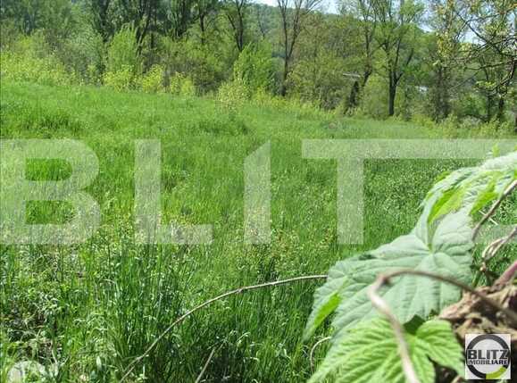 Teren de vânzare Dambul Rotund - 22644TV | BLITZ Cluj-Napoca | Poza3