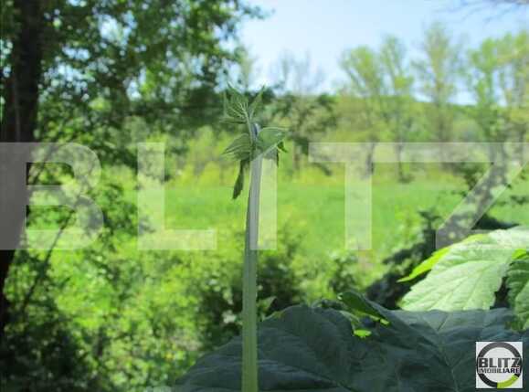Teren de vânzare Dambul Rotund - 22644TV | BLITZ Cluj-Napoca | Poza6