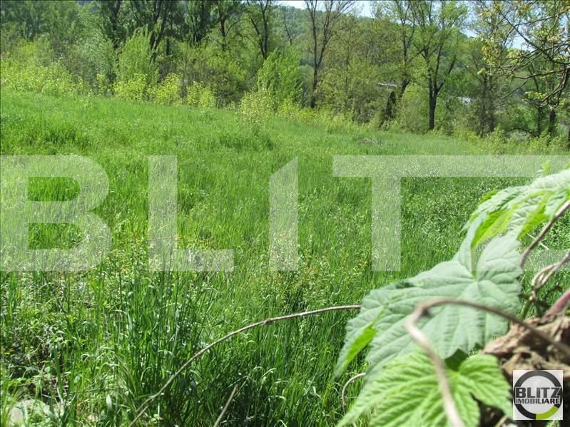 Teren de vânzare Dambul Rotund - 22644TV | BLITZ Cluj-Napoca | Poza3