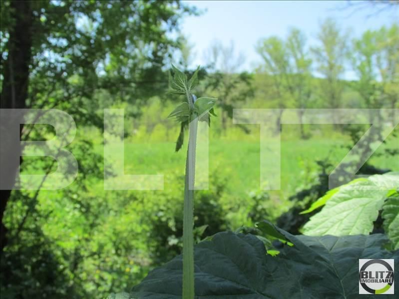 Teren de vânzare Dambul Rotund - 22644TV | BLITZ Cluj-Napoca | Poza6