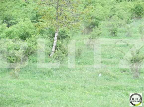 Teren de vânzare Dambul Rotund - 22645TV | BLITZ Cluj-Napoca | Poza2