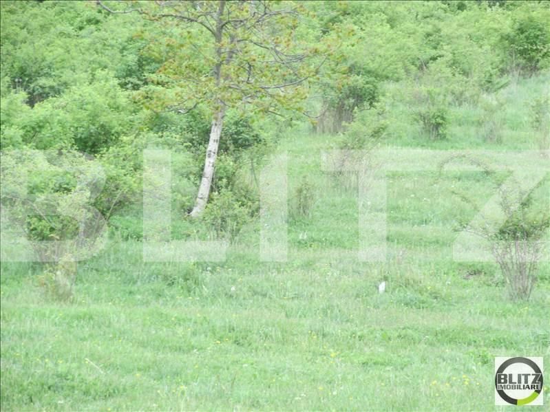 Teren de vânzare Dambul Rotund - 22645TV | BLITZ Cluj-Napoca | Poza2