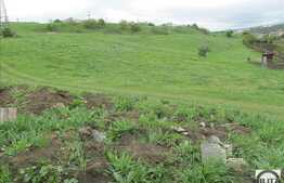 Teren 1000 mp, front 17ml, necesita PUZ!