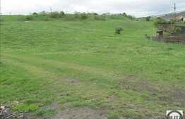 Teren 1000 mp, front 17ml, necesita PUZ!