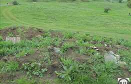 Teren 1000 mp, front 17ml, necesita PUZ!