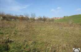 Teren 850 mp, front de 30 ml, Dambul Rotund!