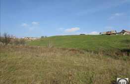 Teren 850 mp, front de 30 ml, Dambul Rotund!