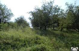 Vanzare teren 1434 mp, zona linistita